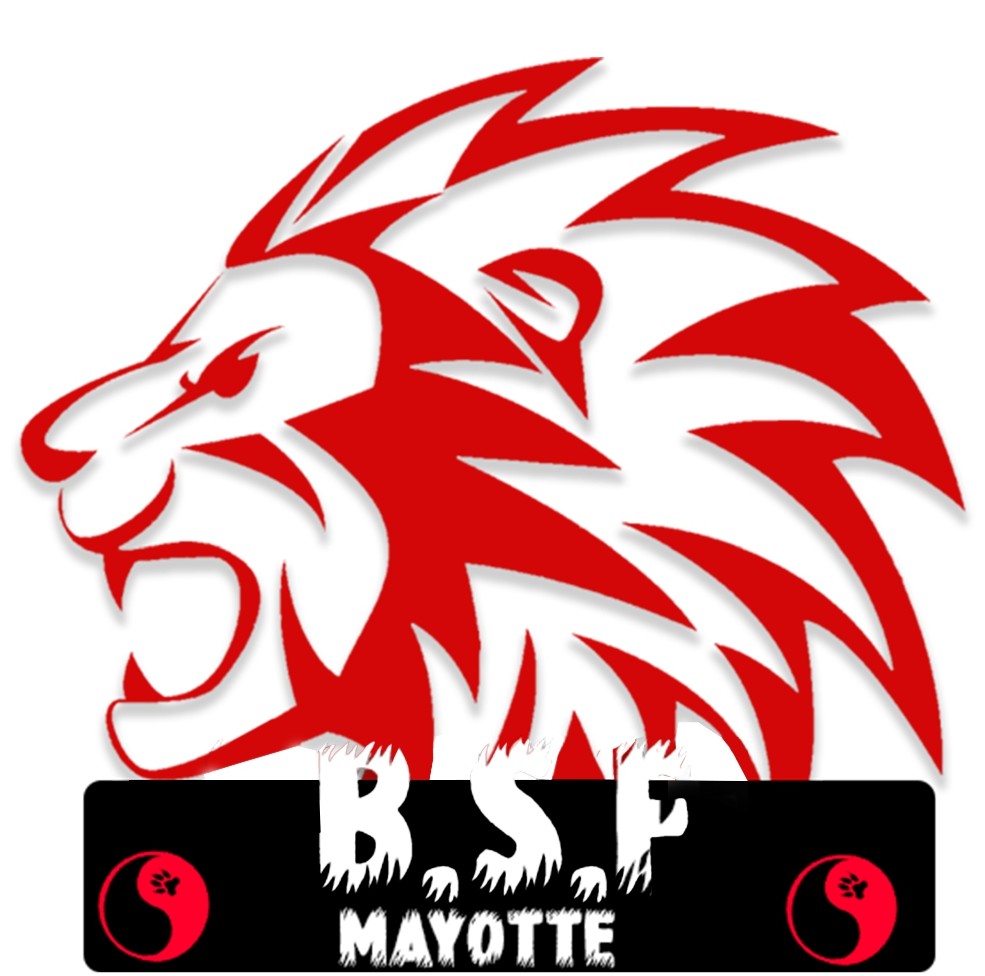 bsf-remake (3)_page-0001